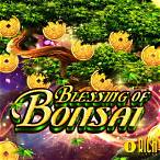 slot bonsai